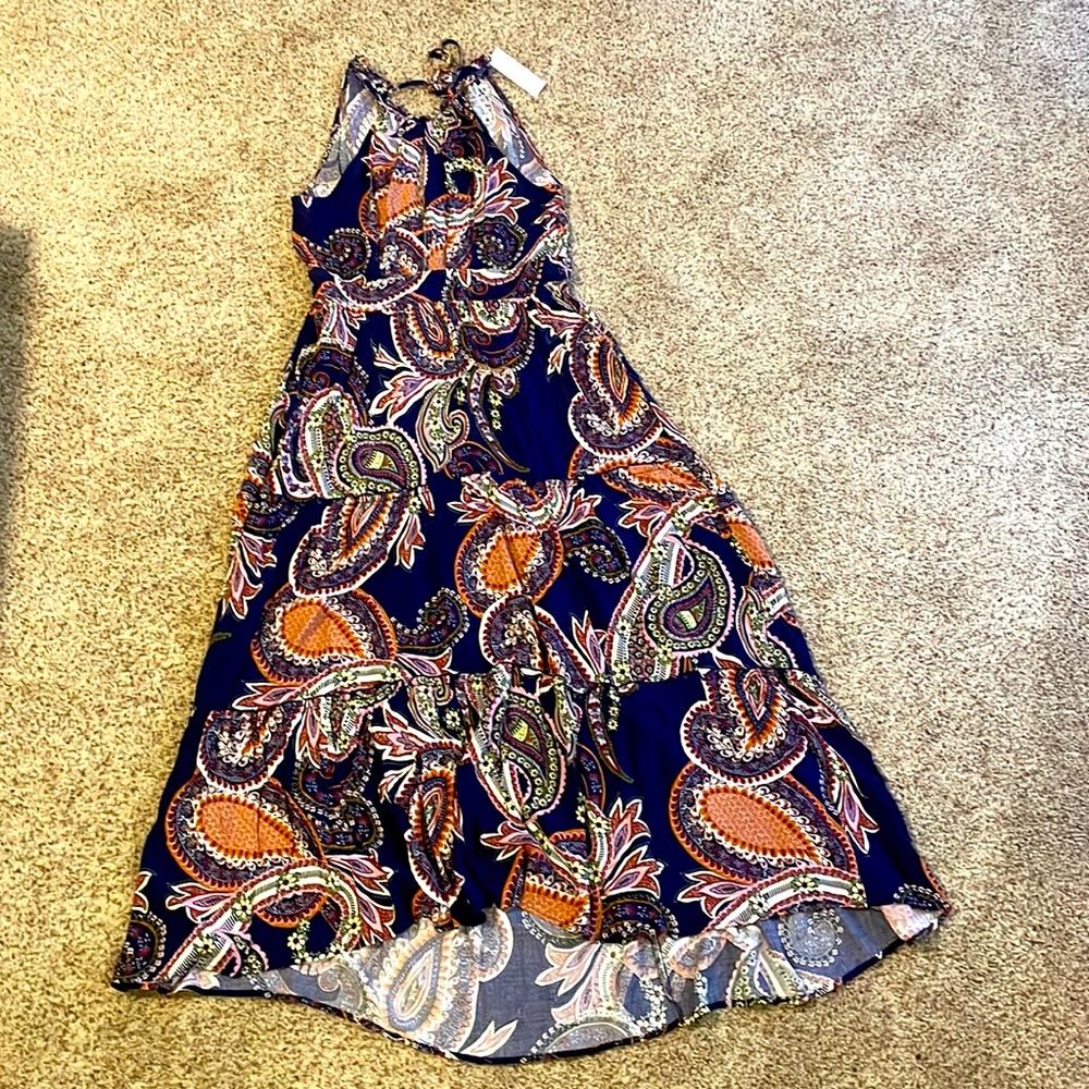 Beautiful Baltic Born dress